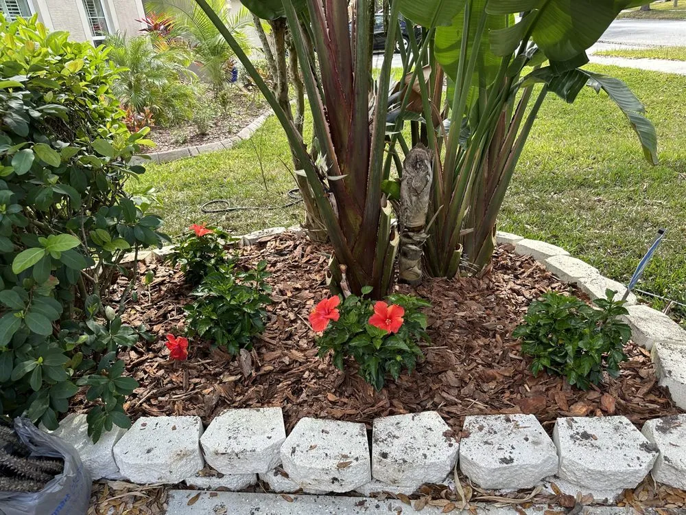 Reliable yard cleanup service in Tampa, FL by Premium Outdoor Living