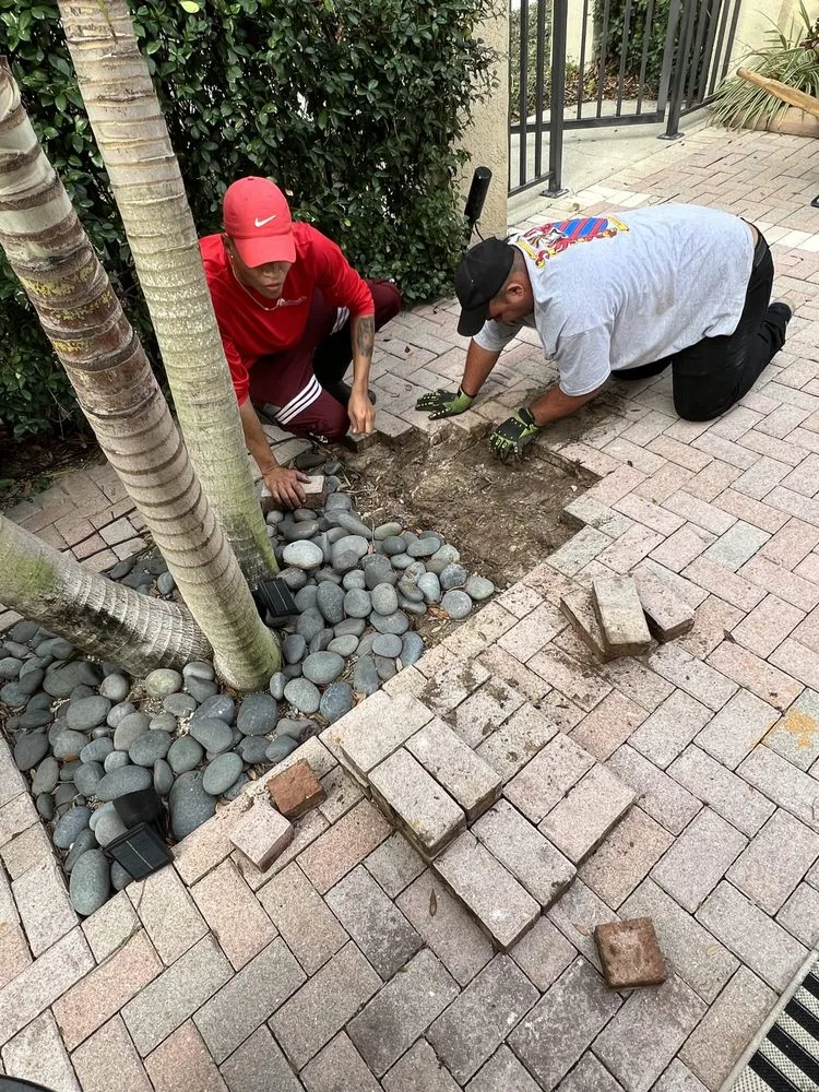 Professional garden landscaping experts serving Tampa, FL - Premium Outdoor Living