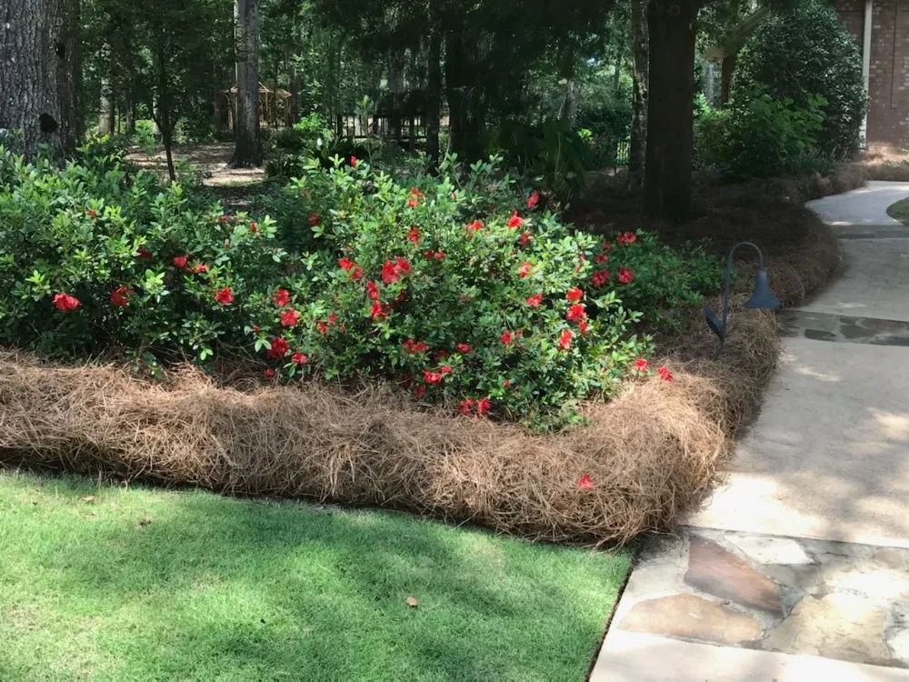 Trusted landscape design experts serving Dothan, AL - Premium Petals Landscape