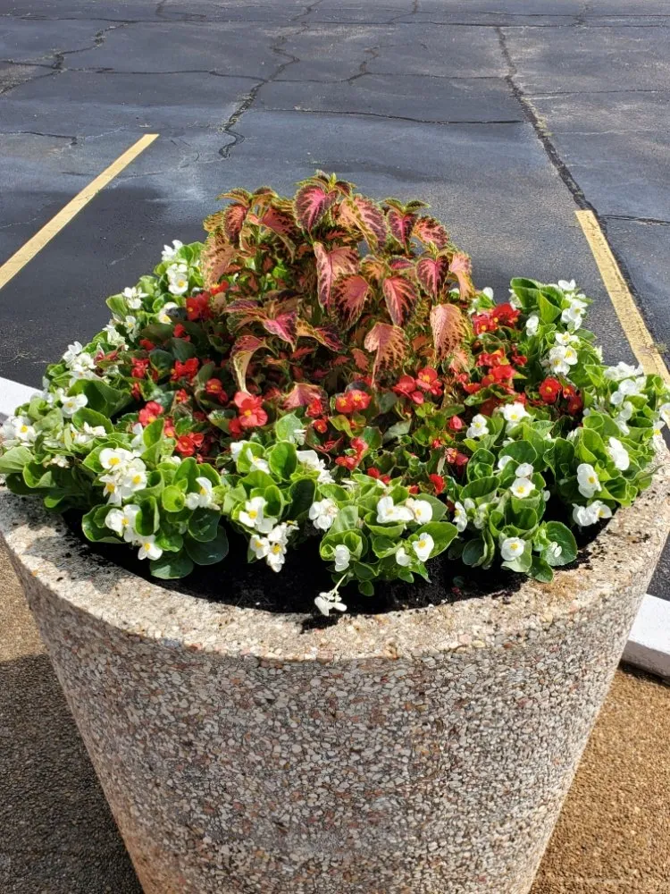 Local landscape installation for residential properties in Dothan, AL by Premium Petals Landscape