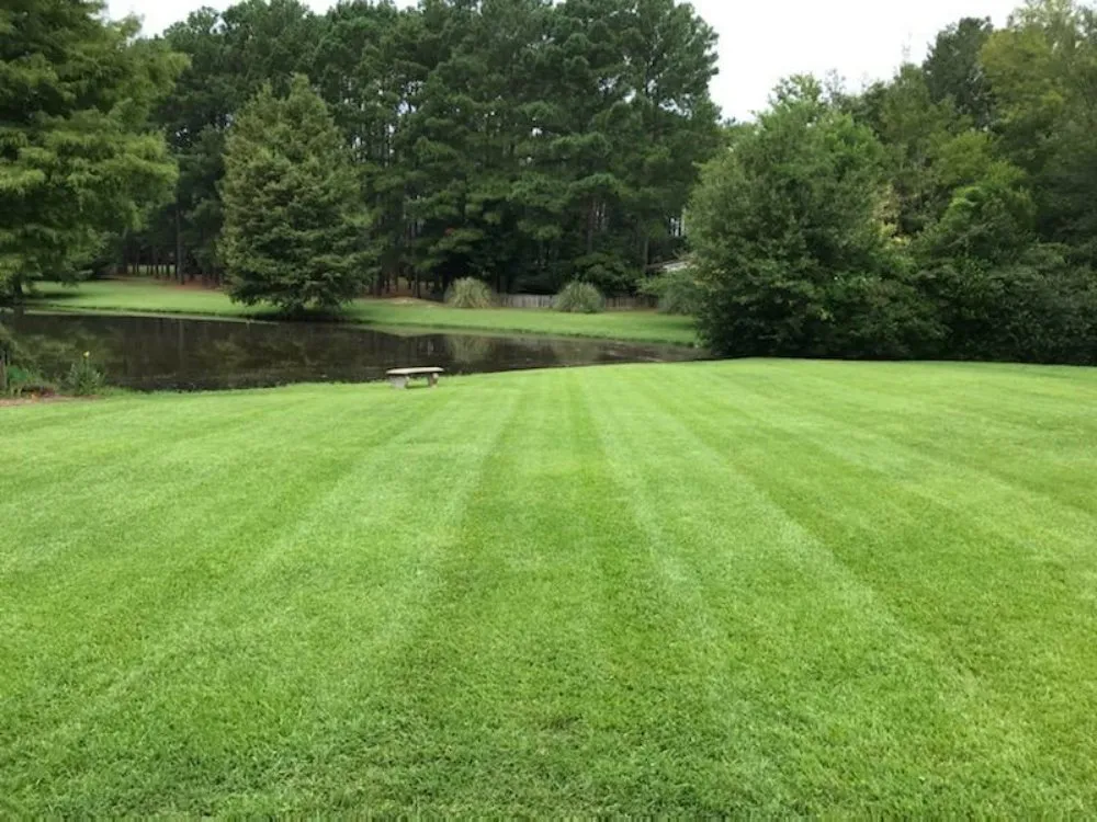 Trusted yard cleanup service in Dothan, AL - Premium Petals Landscape