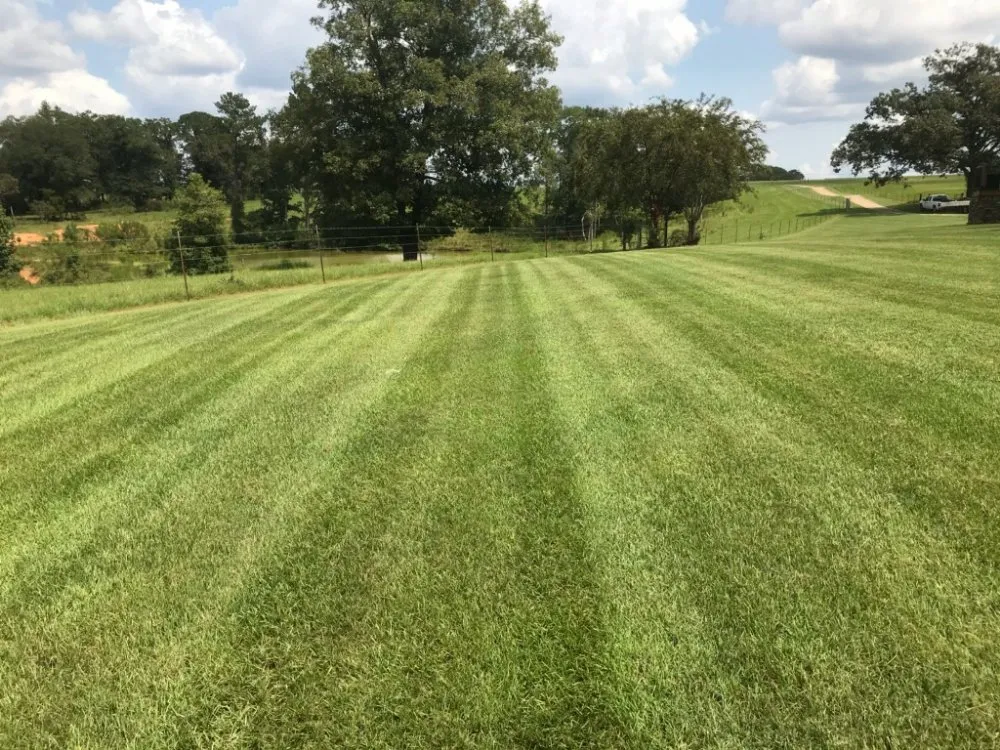 Custom garden landscaping in Dothan, AL by Premium Petals Landscape