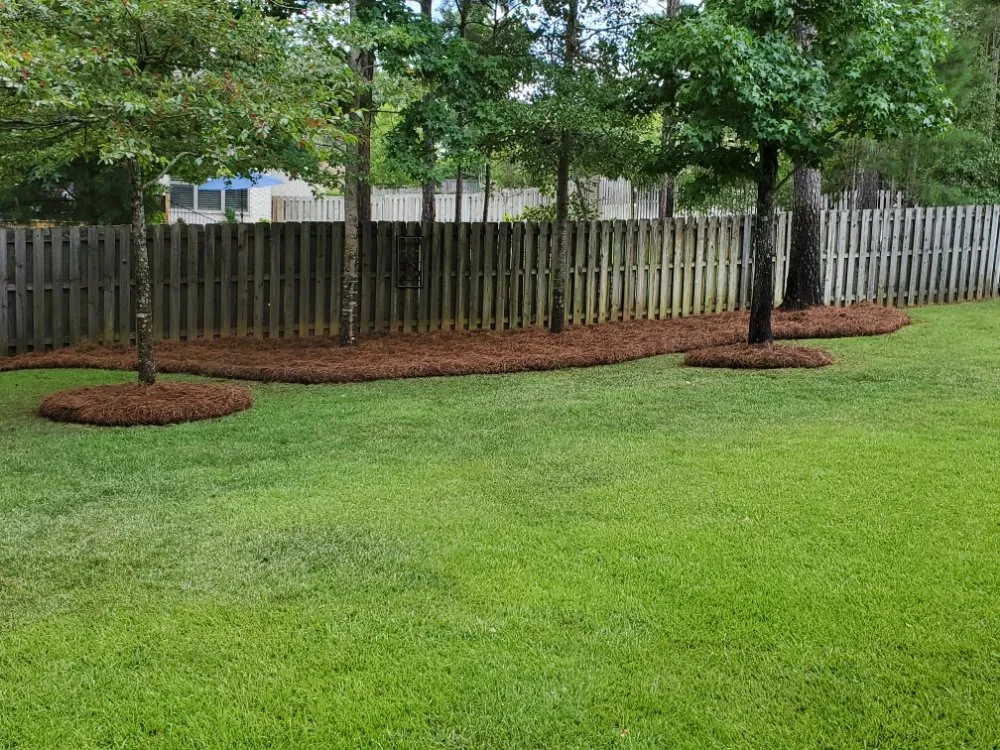 Expert outdoor landscaping in Dothan, AL by Premium Petals Landscape