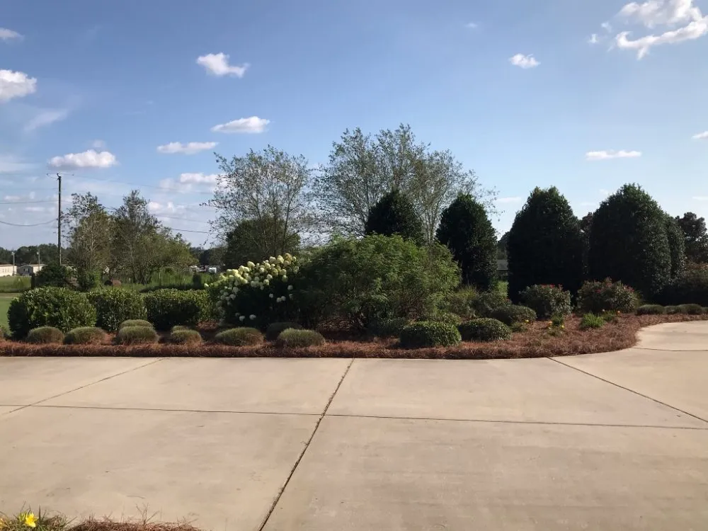 Top-rated yard cleanup service for residential properties across Dothan, AL - Premium Petals Landscape