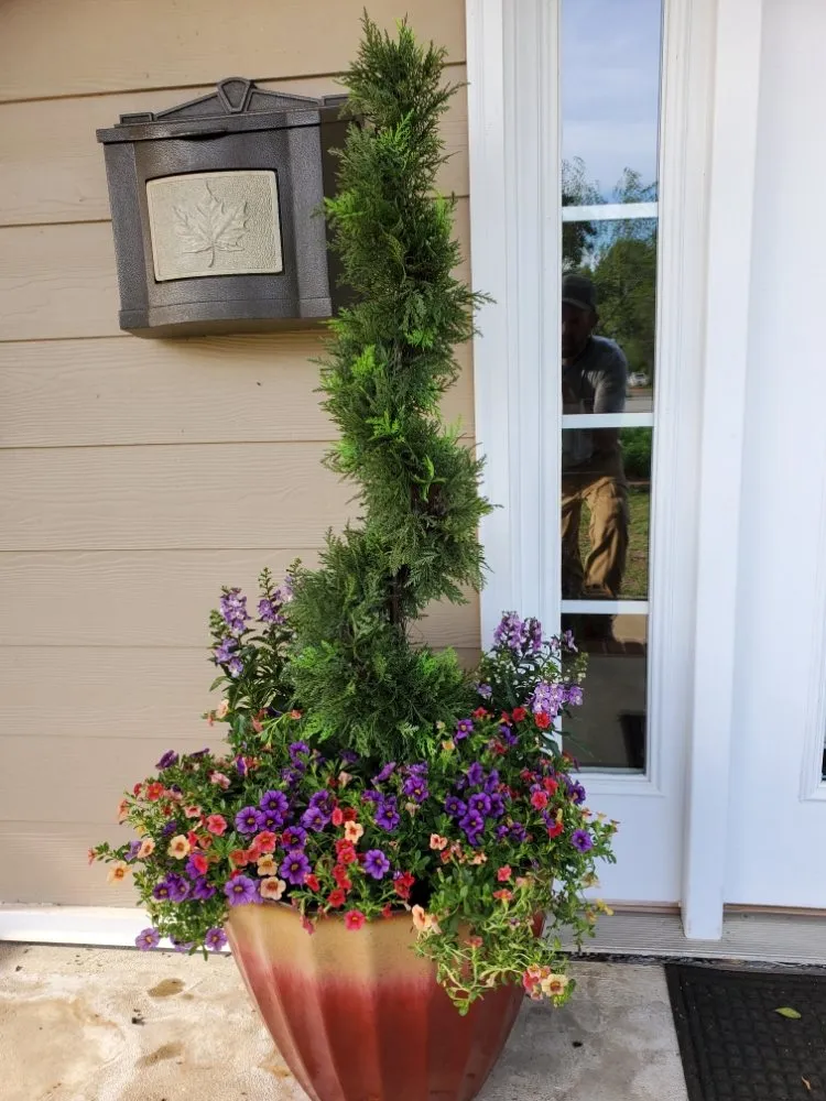 Reliable landscape design for beautiful yards in Dothan, AL by Premium Petals Landscape