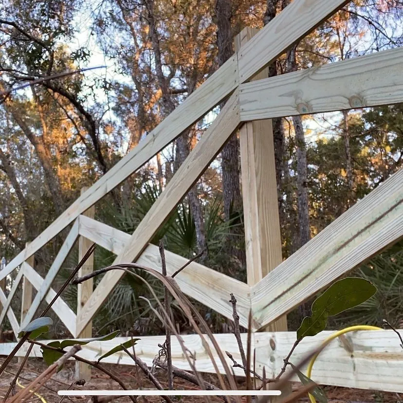 Top-rated landscape design for beautiful yards across Chuluota, FL - Premium Property Care