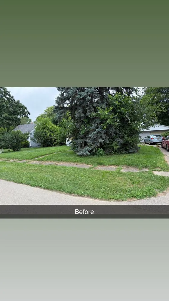 Expert outdoor landscaping for year-round maintenance across Jackson, MI - Premium Property Management