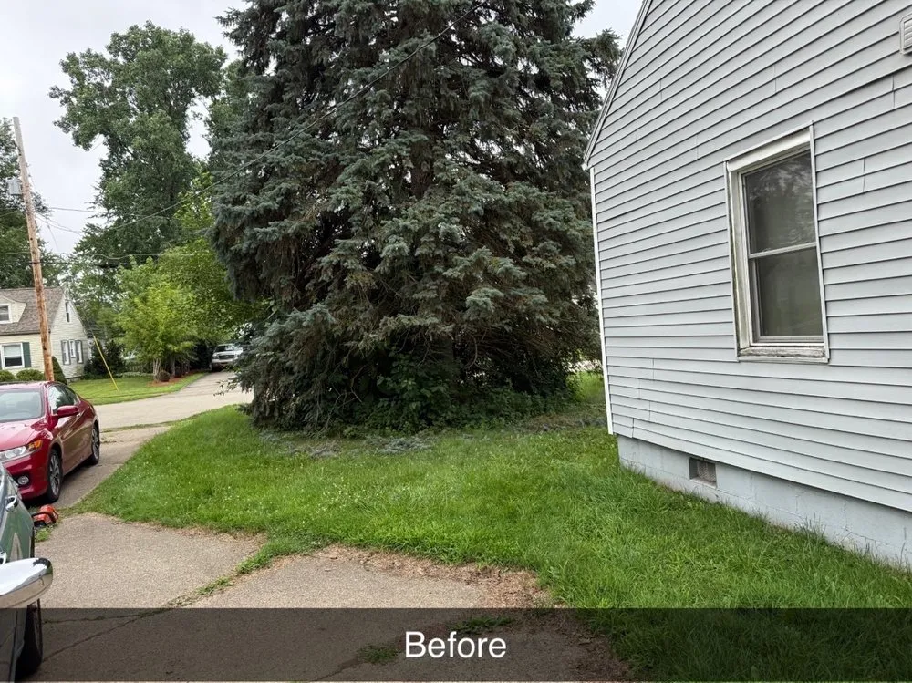 Trusted residential landscaping for year-round maintenance across Jackson, MI - Premium Property Management