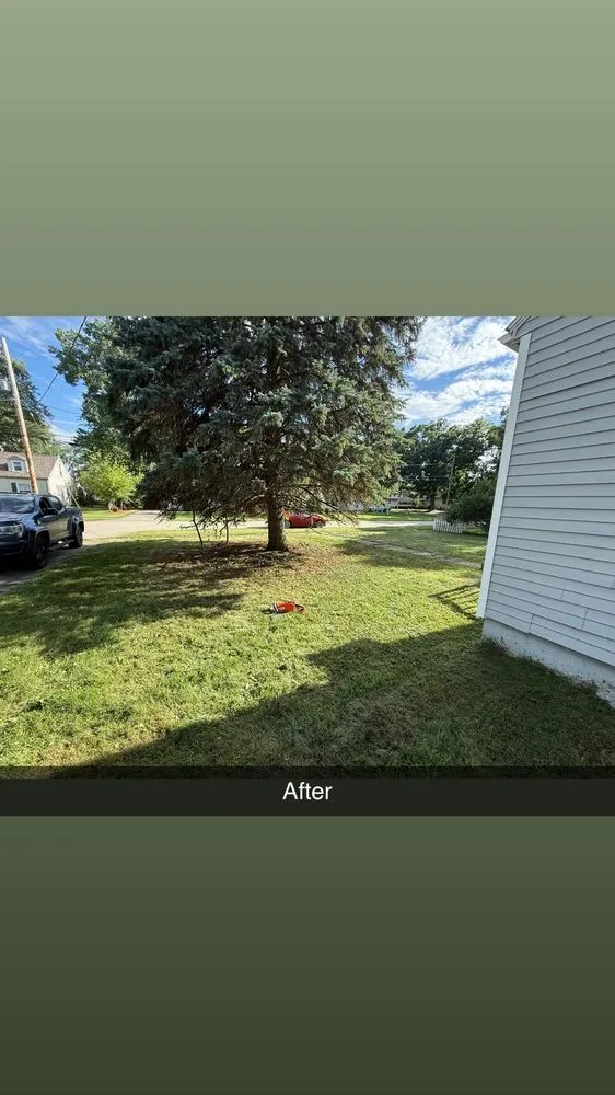 Custom landscaping services near you across Jackson, MI - Premium Property Management