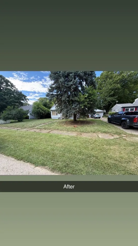 Professional landscape installation experts serving Jackson, MI - Premium Property Management