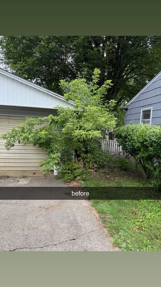 Local yard cleanup service for residential properties across Jackson, MI - Premium Property Management