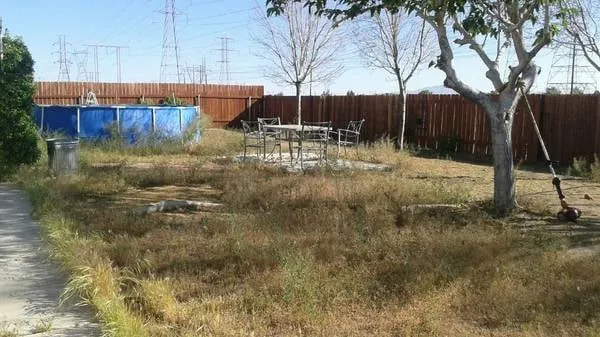 Professional landscaping services in Victorville, CA by Premium Services