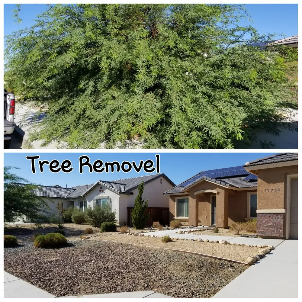 Local yard maintenance in Victorville, CA - Premium Services