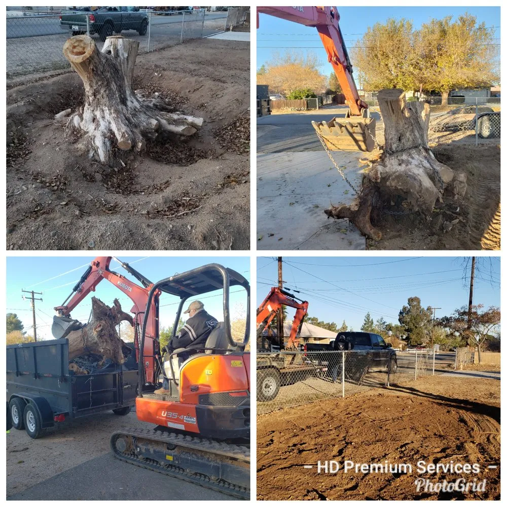 Custom landscaping services experts serving Victorville, CA - Premium Services