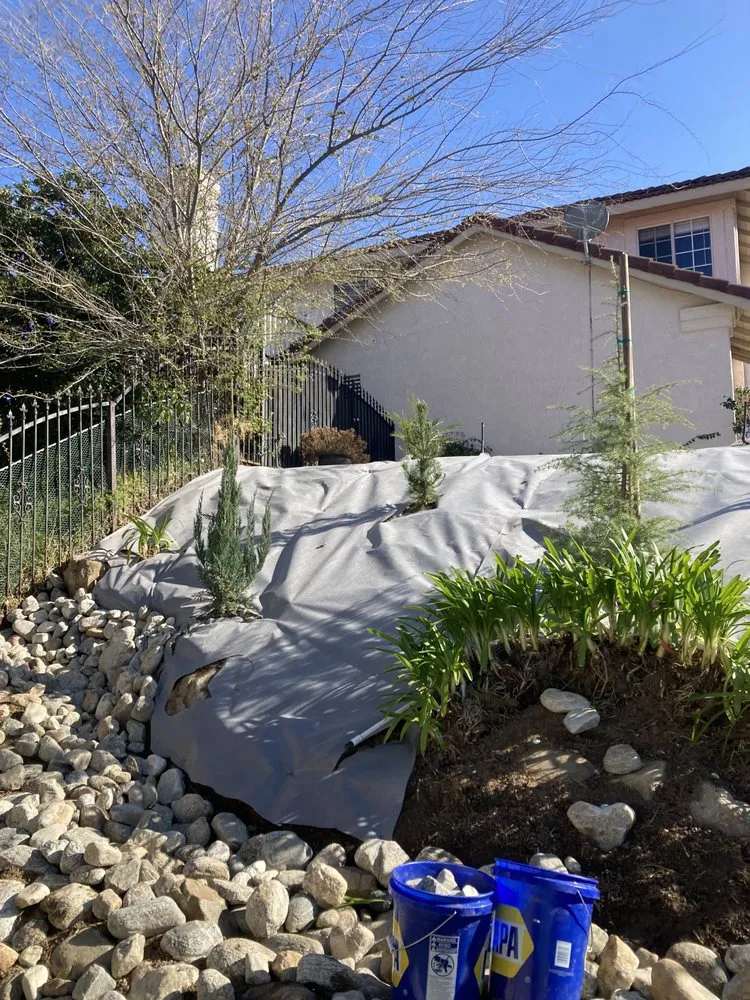 Custom yard maintenance in Riverside, CA - Premium Tree Care & Landscape Maintenance