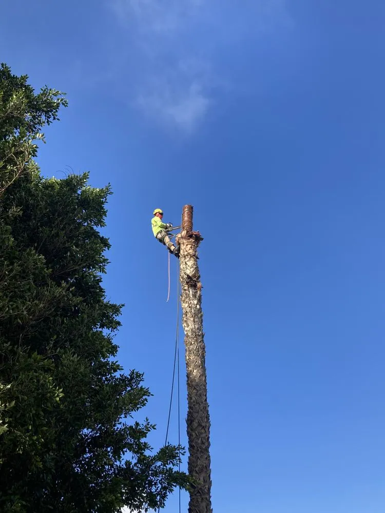 Expert outdoor landscaping for residential properties in Riverside, CA by Premium Tree Care & Landscape Maintenance