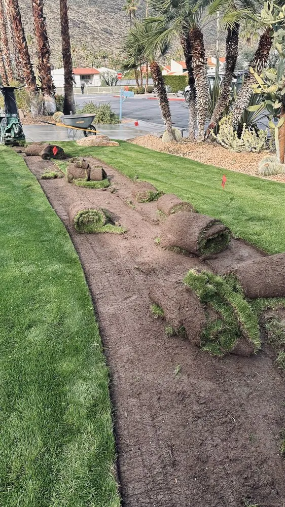 Reliable residential landscaping in Riverside, CA by Premium Tree Care & Landscape Maintenance