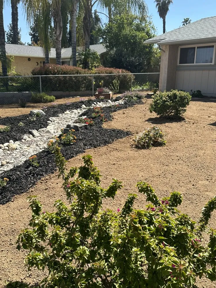 Affordable yard maintenance in Riverside, CA - Premium Tree Care & Landscape Maintenance