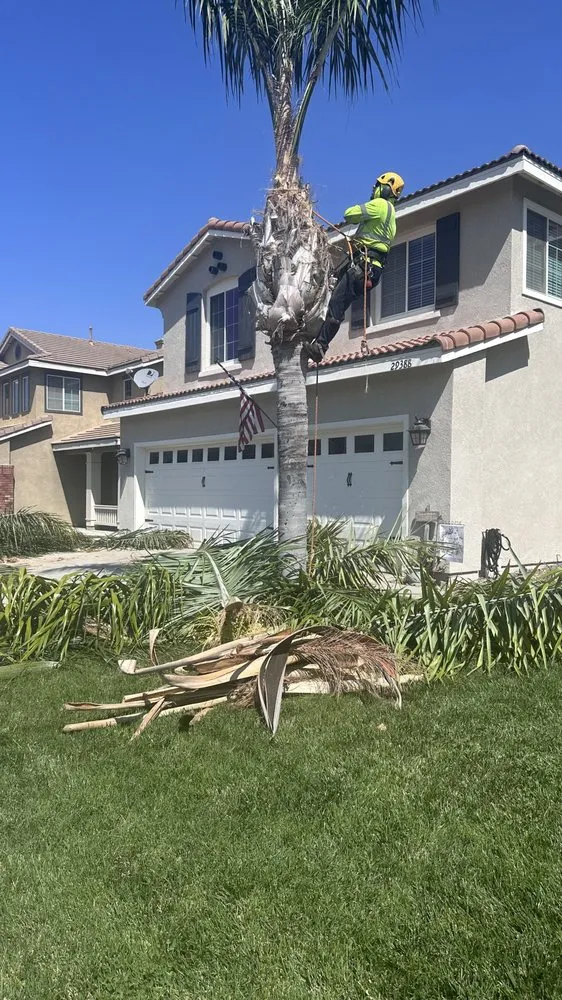 Expert landscaping services in Riverside, CA - Premium Tree Care & Landscape Maintenance
