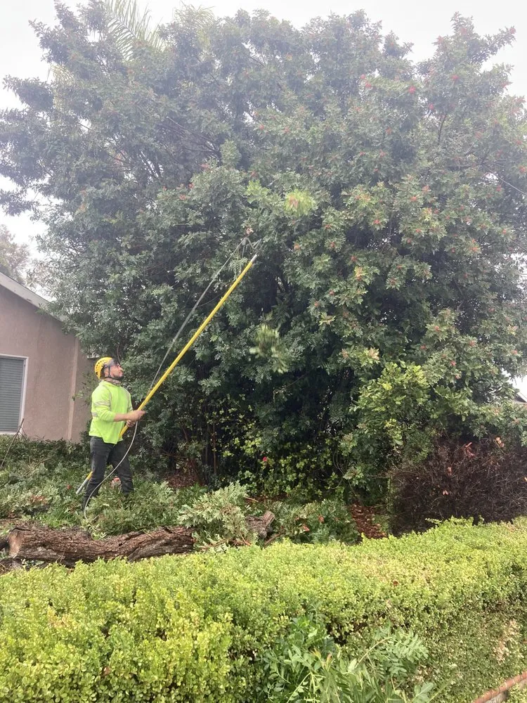 Trusted landscape installation experts serving Riverside, CA - Premium Tree Care & Landscape Maintenance