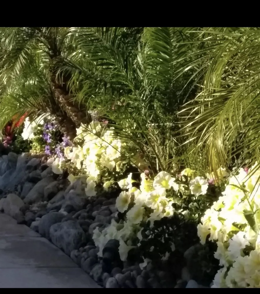 Custom yard cleanup service for residential properties across Riverside, CA - Premium Tree Care & Landscape Maintenance