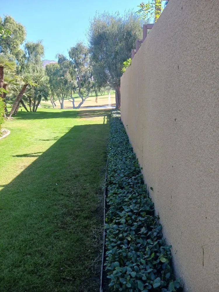 Custom landscape design for beautiful yards in Riverside, CA by Premium Tree Care & Landscape Maintenance