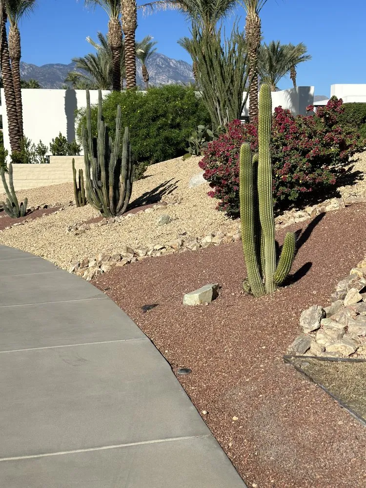 Local landscape design in Riverside, CA - Premium Tree Care & Landscape Maintenance