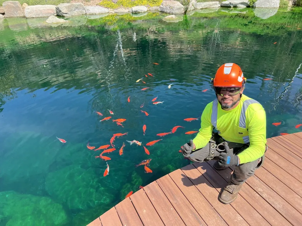 Local garden landscaping experts serving Riverside, CA - Premium Tree Care & Landscape Maintenance