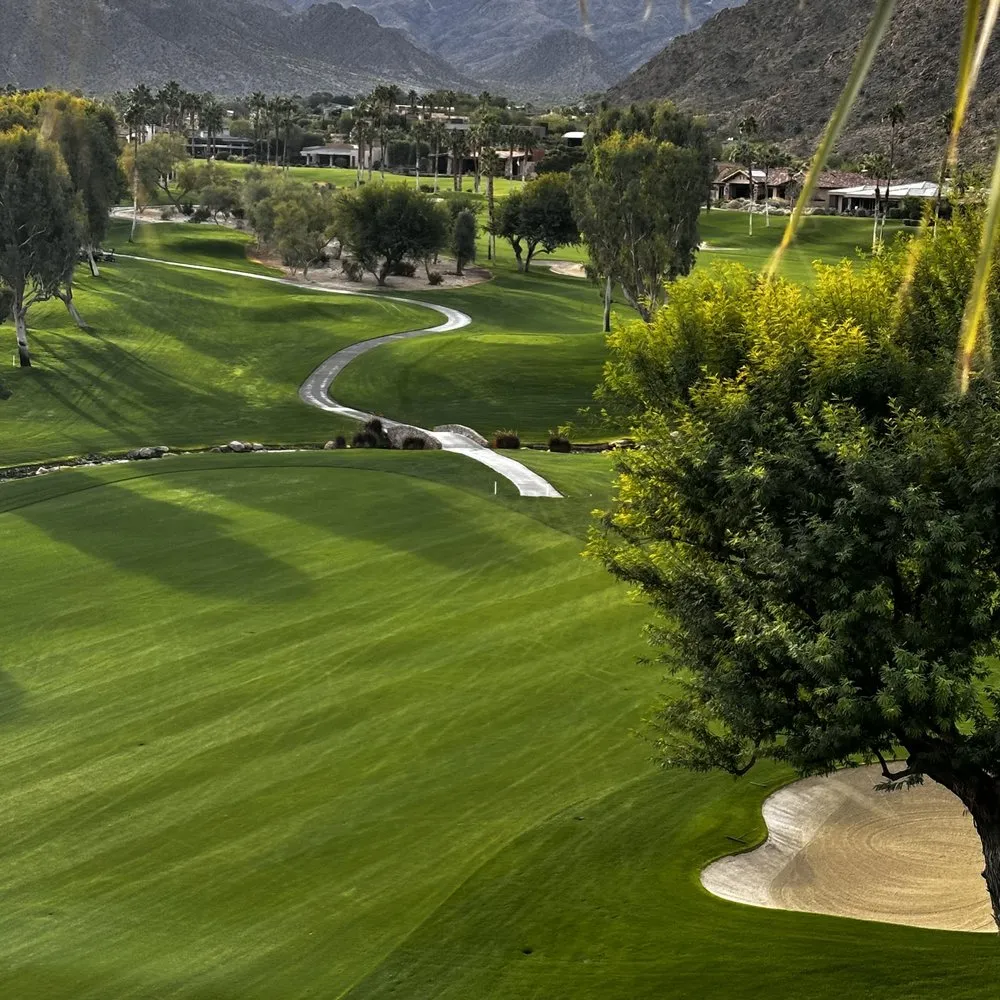 Expert landscaping services in Riverside, CA - Premium Tree Care & Landscape Maintenance