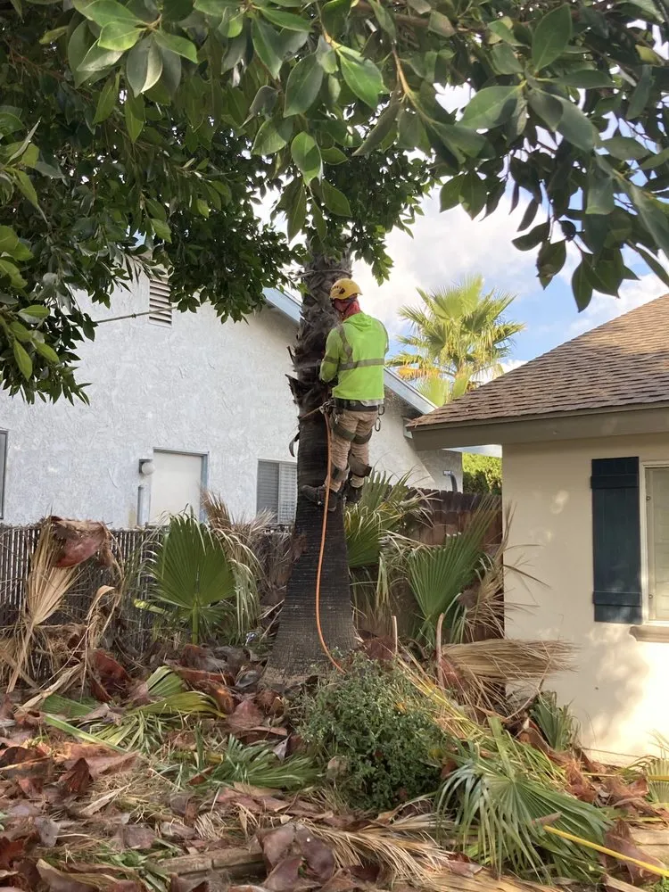 Affordable residential landscaping for year-round maintenance across Riverside, CA - Premium Tree Care & Landscape Maintenance