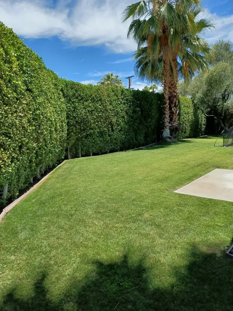 Local outdoor landscaping for homes in Riverside, CA by Premium Tree Care & Landscape Maintenance