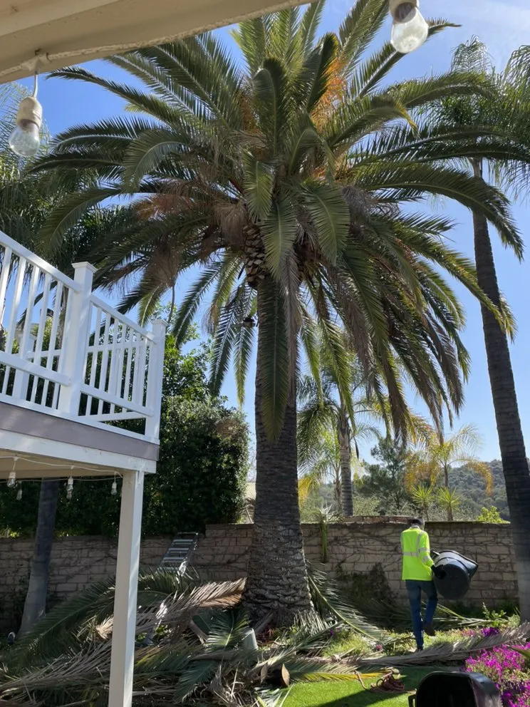 Custom lawn mowing service with custom design in Chino Hills, CA by Premium Tree Care