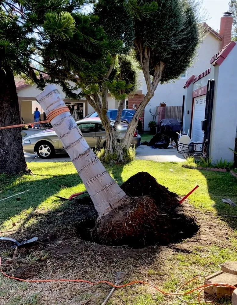 Local garden landscaping for residential properties across Chino Hills, CA - Premium Tree Care