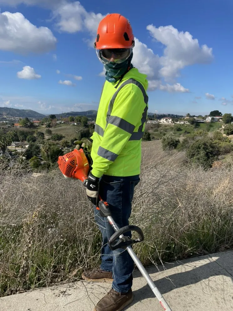 Affordable lawn care service experts serving Chino Hills, CA - Premium Tree Care