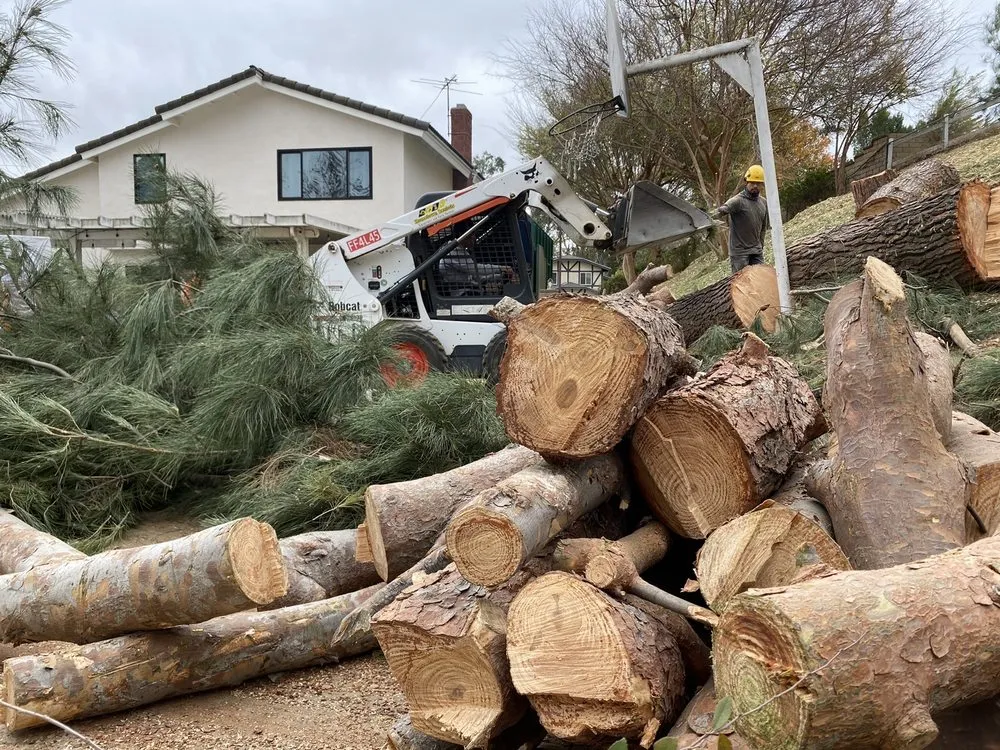 Top-rated lawn care service experts serving Chino Hills, CA - Premium Tree Care