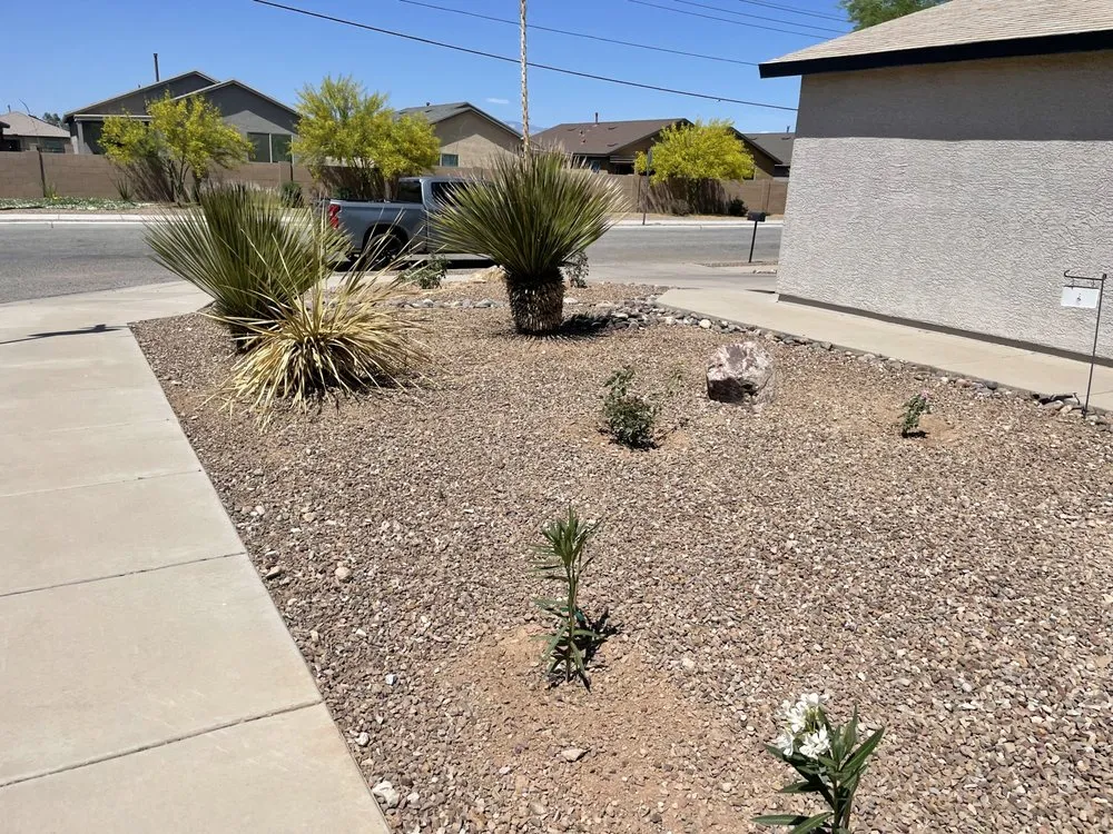 Reliable landscape design in Tucson, AZ by Premium Yard Cleaning & Maintenance Services