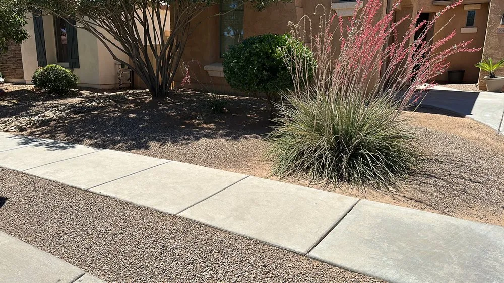 Trusted yard maintenance experts serving Tucson, AZ - Premium Yard Cleaning & Maintenance Services