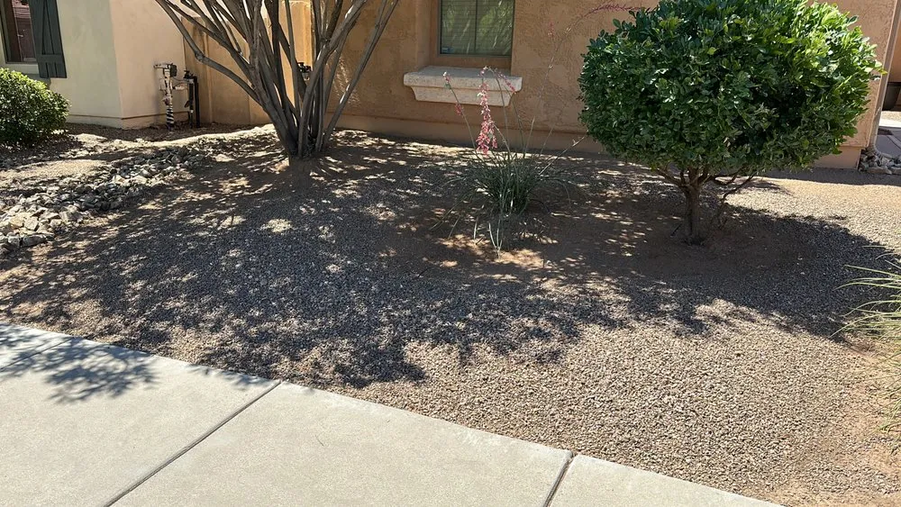 Trusted landscape installation experts serving Tucson, AZ - Premium Yard Cleaning & Maintenance Services