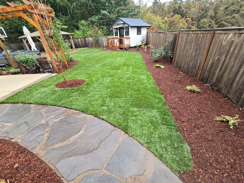 Professional yard cleanup service in Salem, OR by PremiumNW Landscape