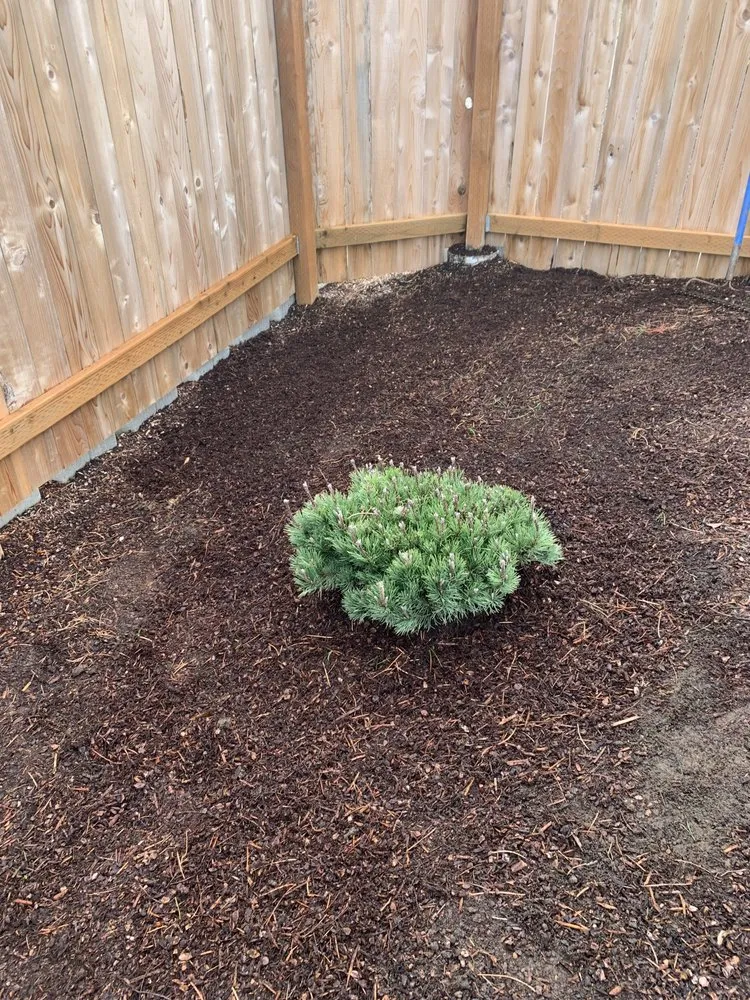 Affordable landscaping services in Salem, OR by PremiumNW Landscape