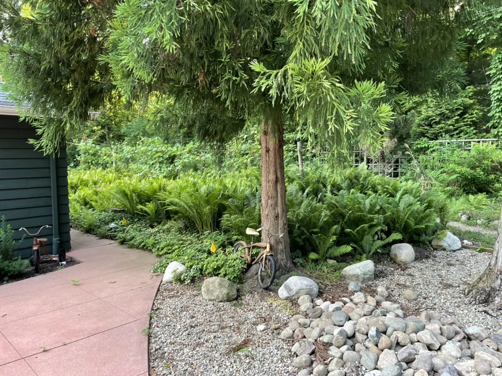 Expert lawn care service in Sawyer, MI - Prenkert Landscaping & Lawn Care