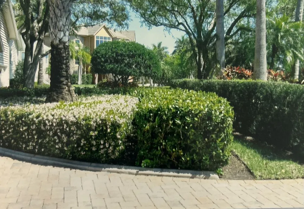 Trusted yard cleanup service in Orange City, FL by Prentice Landscaping