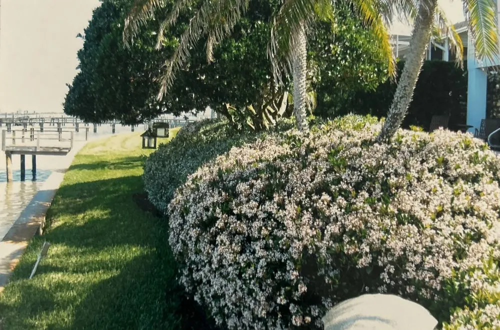 Expert landscape design for year-round maintenance in Orange City, FL by Prentice Landscaping