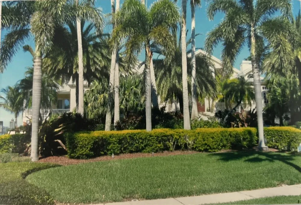 Affordable landscape design in Orange City, FL - Prentice Landscaping