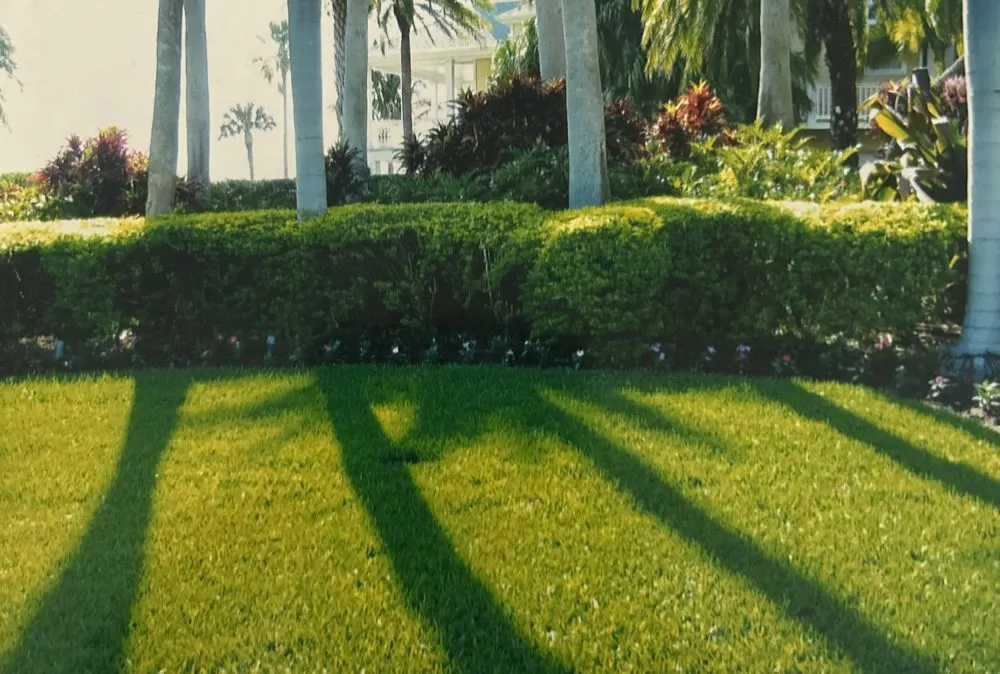 Top-rated outdoor landscaping for year-round maintenance in Orange City, FL by Prentice Landscaping