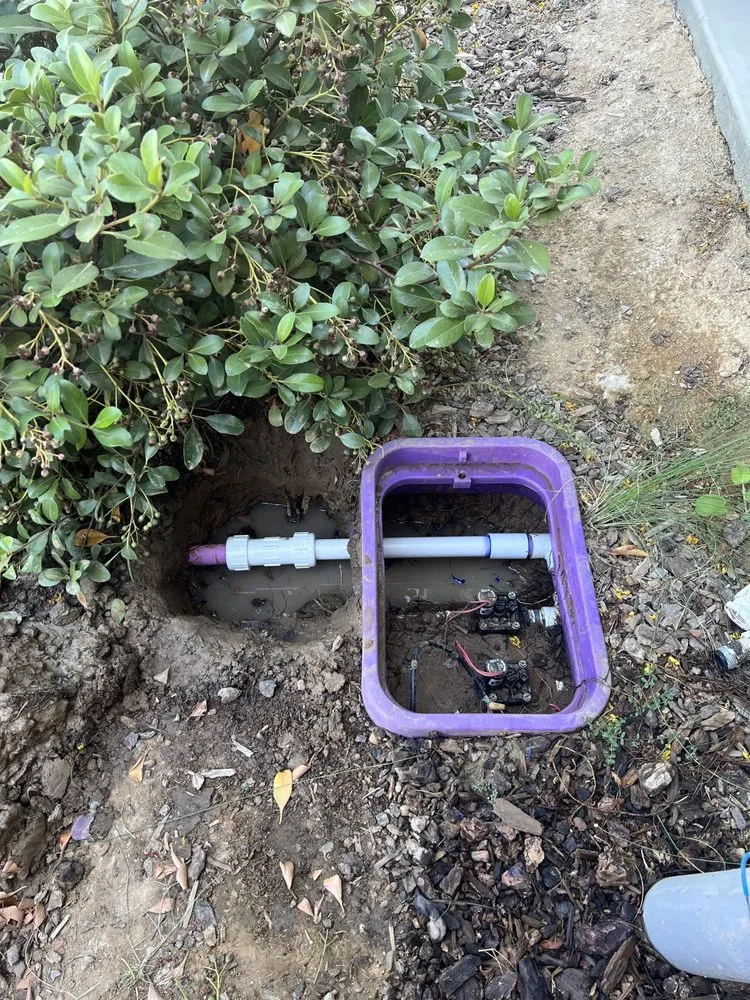 Professional yard cleanup service for year-round maintenance in Bakersfield, CA by Prescott Landscape Services