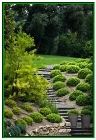 Custom lawn care service in Shirley, MA by Prescott Landscaping