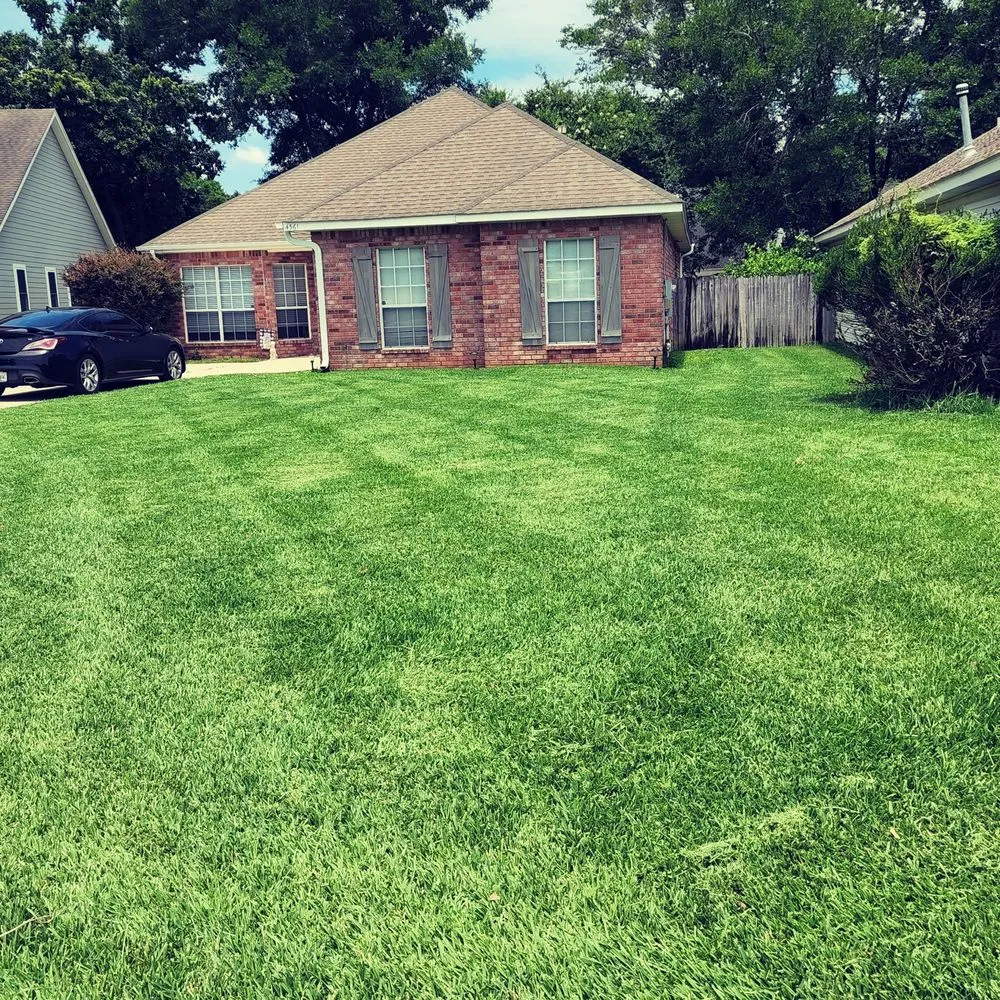 Reliable yard cleanup service with custom design across Pensacola, FL - Prescott Pham