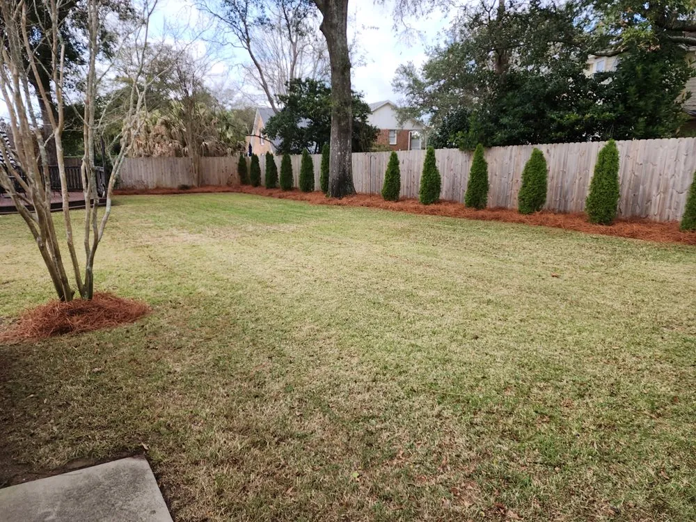 Trusted landscape installation for beautiful yards across Pensacola, FL - Prescott Pham
