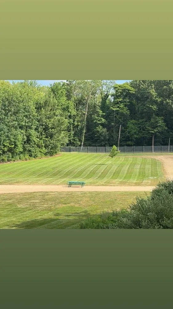 Affordable yard cleanup service in Benton Harbor, MI - Prescott Pristine Lawn Care